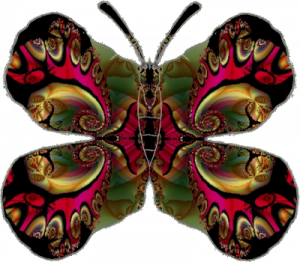 fractale-papillon-petit
